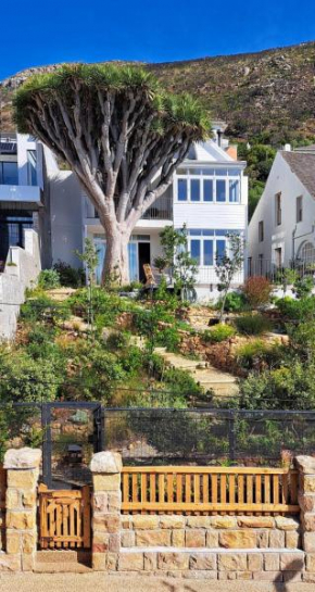 The Dragon Tree Guesthouse